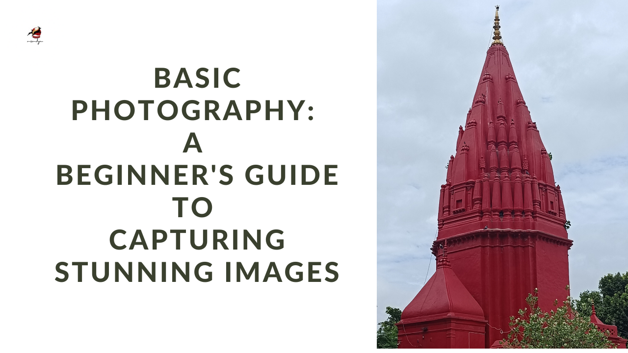 Basic Photography: A Beginner’s Guide to Capturing Stunning Images ...
